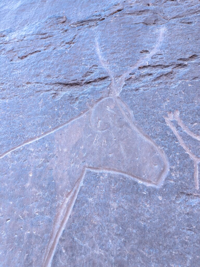 Gravures rupestres Tiout pétroglyphes