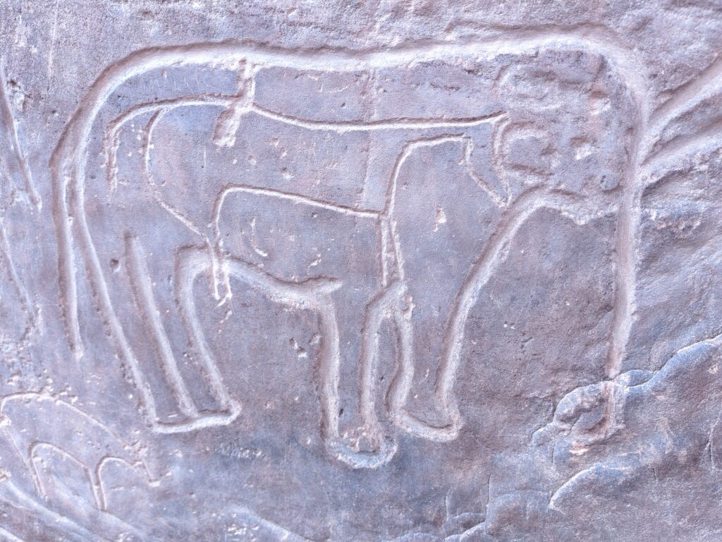 Gravures rupestres Tiout pétroglyphes