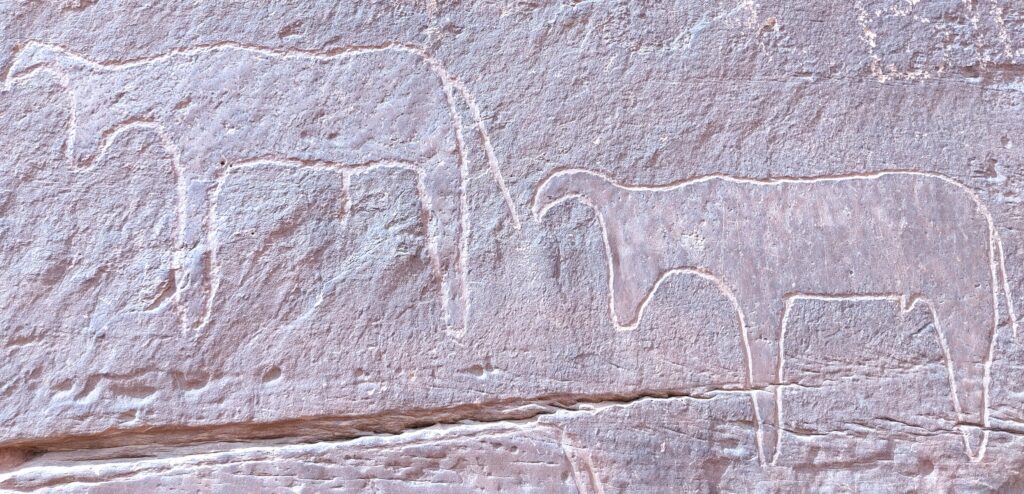 Gravures rupestres Tiout