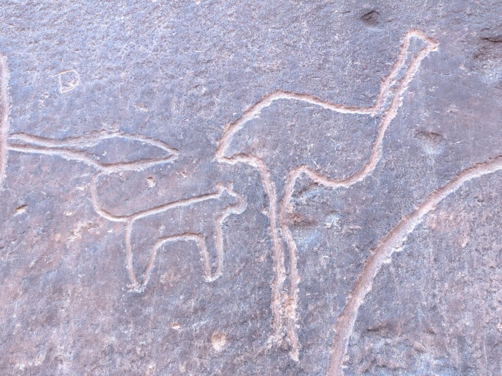 Gravures rupestres Tiout