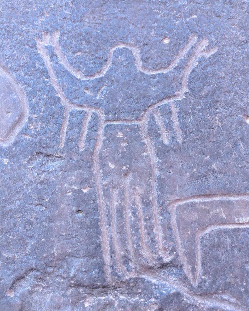 Gravures rupestres Tiout pétroglyphes