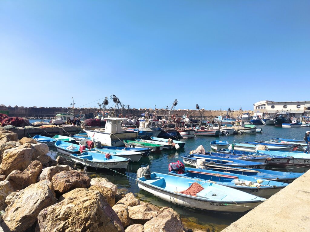 Port de Krystel Oran